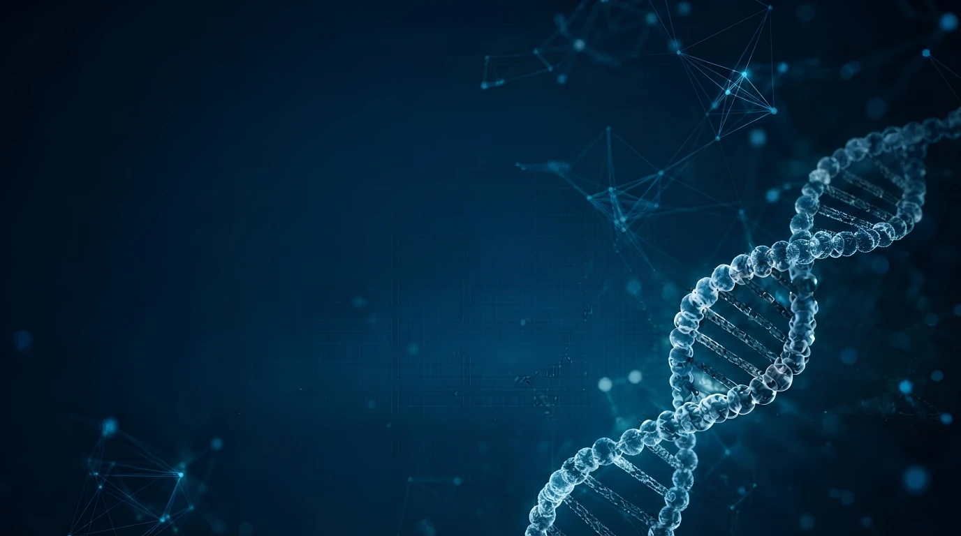 Molecular DNA structure